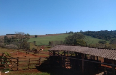 Fazenda para venda em Arandu